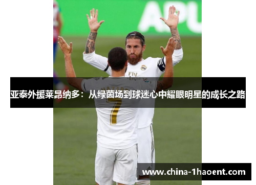 亚泰外援莱昂纳多：从绿茵场到球迷心中耀眼明星的成长之路