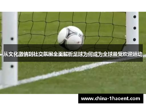 从文化激情到社交氛围全面解析足球为何成为全球最受欢迎运动