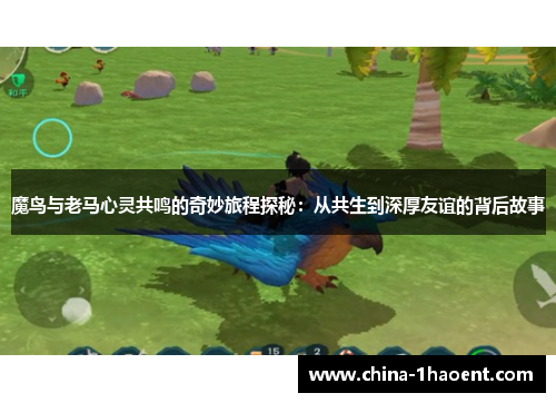 魔鸟与老马心灵共鸣的奇妙旅程探秘：从共生到深厚友谊的背后故事