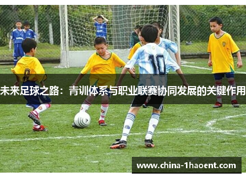 未来足球之路:青训体系与职业联赛协同发展的关键作用 未来足球之路:青训体系与职业联赛协同发展的关键作用