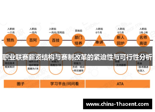 职业联赛薪资结构与赛制改革的紧迫性与可行性分析 职业联赛薪资结构与赛制改革的紧迫性与可行性分析