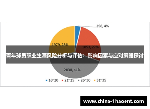 青年球员职业生涯风险分析与评估：影响因素与应对策略探讨