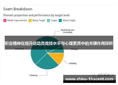 职业精神在提升运动员竞技水平与心理素质中的关键作用探析